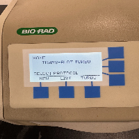 Bio-Rad Trans-Blot Turbo Transfer System image 2